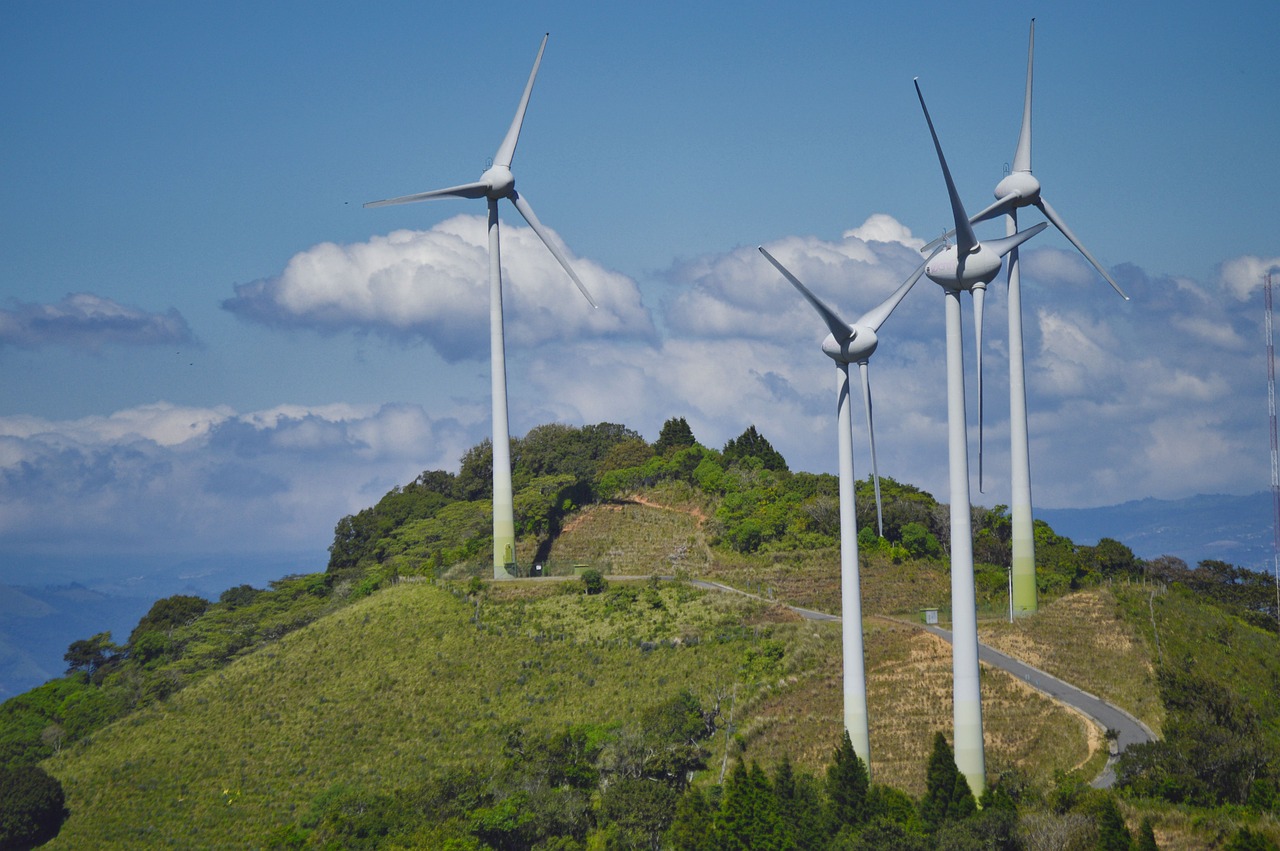 Renewable Resources and Green Energy Solutions - A Guide